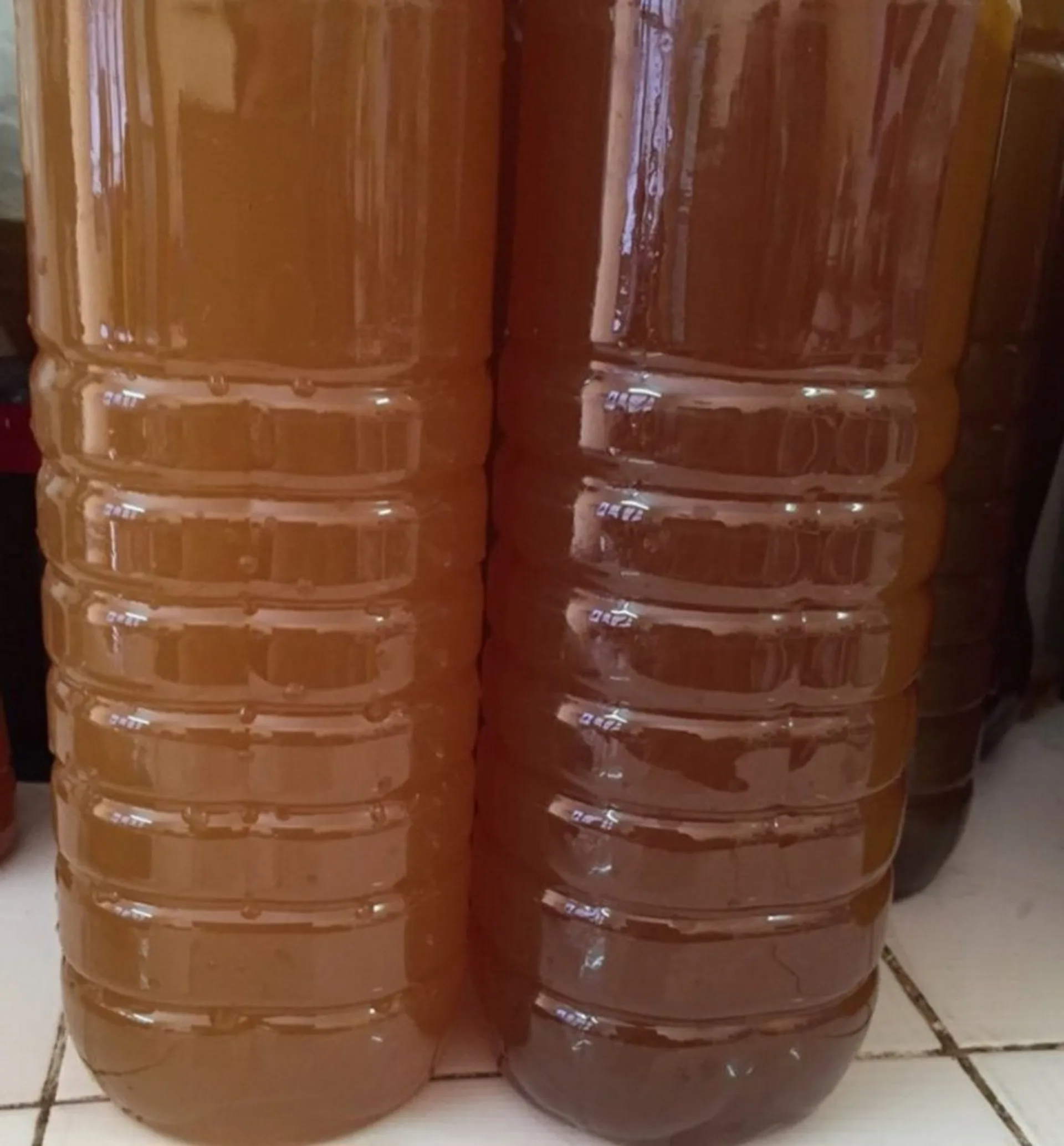 1 lít - Mật ong rừng Mường Nhé Điện Biên nguyên chất (ảnh 2/4)