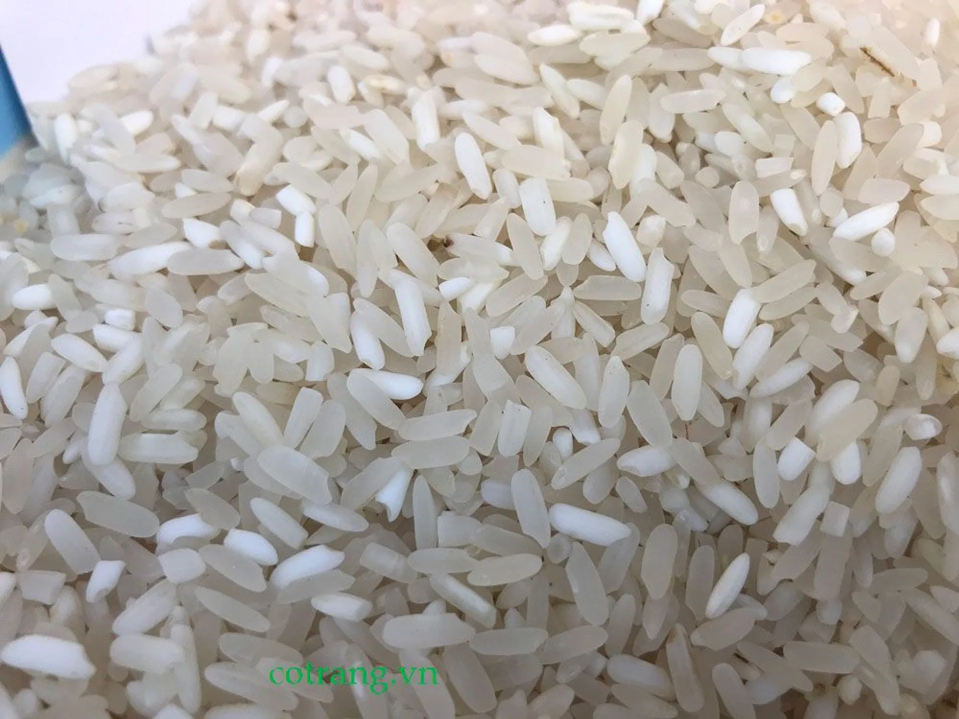 Gạo Séng Cù Điện Biên - Túi 5kg (ảnh 2/2)