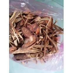 Ren bổ máu bổ sung cho sức khỏe
 Ren bổ máu bổ sung cho sức khỏe