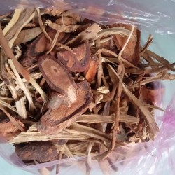Ren bổ máu bổ sung cho sức khỏe
 Ren bổ máu bổ sung cho sức khỏe