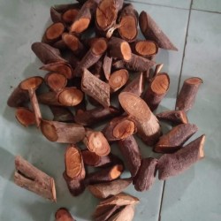 Ren bổ máu bổ sung cho sức khỏe
 Ren bổ máu bổ sung cho sức khỏe