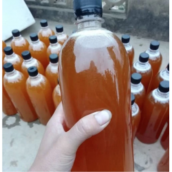 Mật ong rừng
