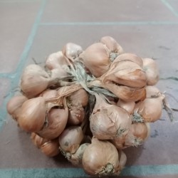 N&ocirc;ng Sản Kinh M&ocirc;n - Hải Dương
