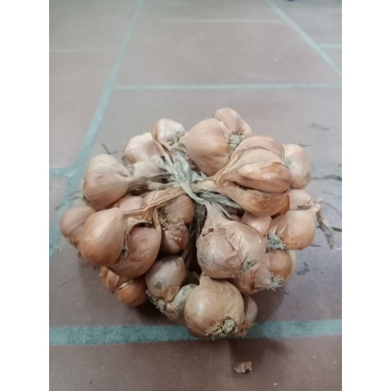 N&ocirc;ng Sản Kinh M&ocirc;n - Hải Dương
