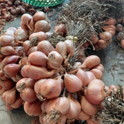 N&ocirc;ng sản Kinh M&ocirc;n - Hải Dương
