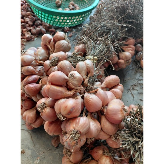 N&ocirc;ng sản Kinh M&ocirc;n - Hải Dương
