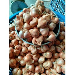 N&ocirc;ng sản Kinh M&ocirc;n - Hải Dương
