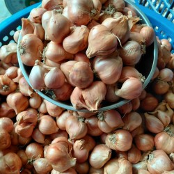 N&ocirc;ng sản Kinh M&ocirc;n - Hải Dương
