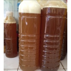 1 lít - Mật ong rừng Mường Nhé Điện Biên nguyên chất
 1 lít - Mật ong rừng Mường Nhé Điện Biên nguyên chất