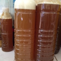 1 lít - Mật ong rừng Mường Nhé Điện Biên nguyên chất
 1 lít - Mật ong rừng Mường Nhé Điện Biên nguyên chất