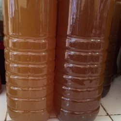1 lít - Mật ong rừng Mường Nhé Điện Biên nguyên chất
 1 lít - Mật ong rừng Mường Nhé Điện Biên nguyên chất