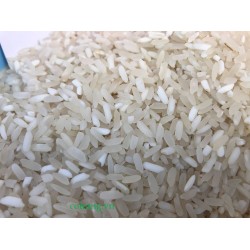 Gạo Séng Cù Điện Biên - Túi 5kg
 Gạo Séng Cù Điện Biên - Túi 5kg