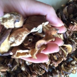 300gr nấm hương thơm ngon bổ dưỡng
 300gr nấm hương thơm ngon bổ dưỡng