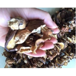 300gr nấm hương thơm ngon bổ dưỡng
 300gr nấm hương thơm ngon bổ dưỡng